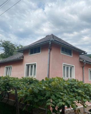Casa IBT