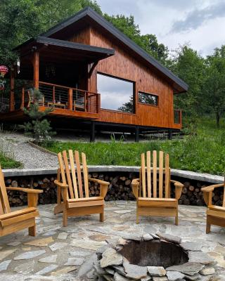 MoodySun Studio, remote tiny home