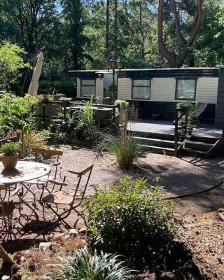 Sfeervol chalet in het bos