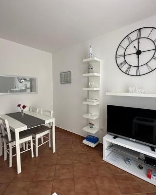 Apartment Ivek