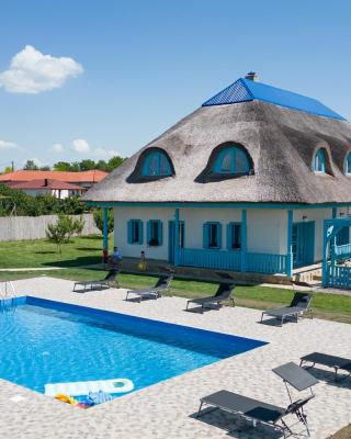 Casa Cretu Visina
