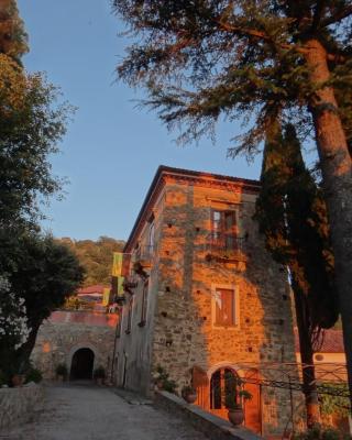 Casa Albini