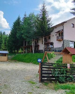 Casa de Vacanta Predeal