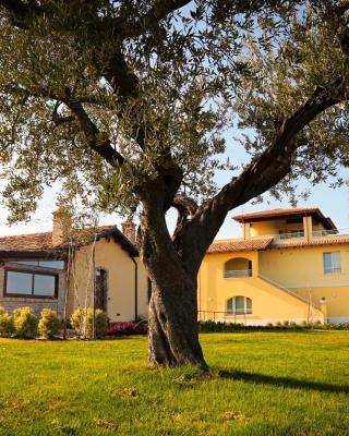 Agriturismo BioCore 2 - Colledoro