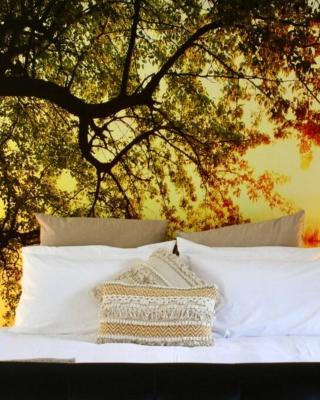 Hideaway Falls - Bunya Cottage