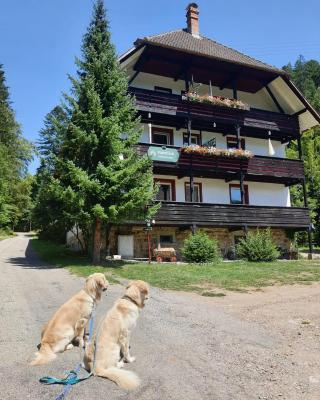 Waldblick Ferienwohnungen