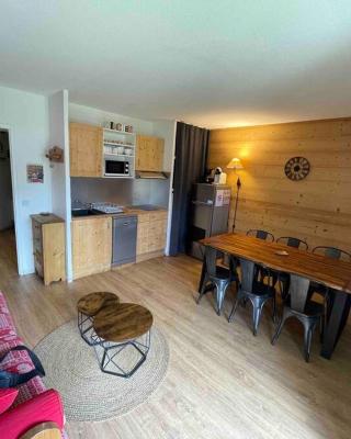 App 4-6 pers avec 1 place garage 100m pistes plein centre