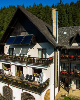 Bucovina Lodge Pension