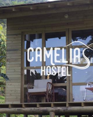 Camelia Hostel