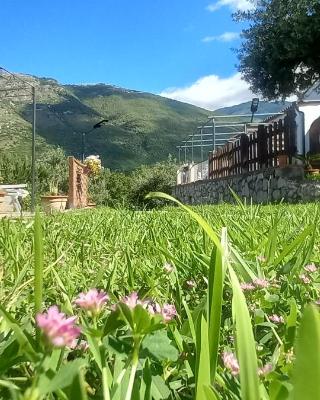 B&B da Maria Teresa - Maratea