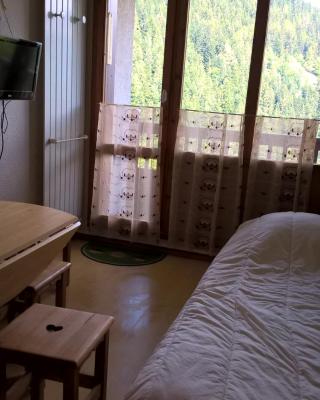 Studio 4 pers 18m2 au pied des pistes de ski à Valfréjus