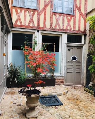 Atelier des Glycines, appartement de charme en centre ville de Troyes dans le Bouchon de Champagne