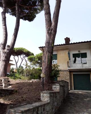 Casa Felci