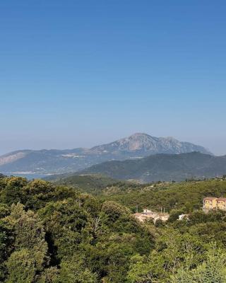 Appartamento "Il Glicine"