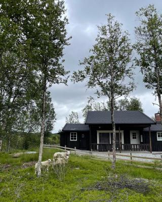 Sigurdhytta
