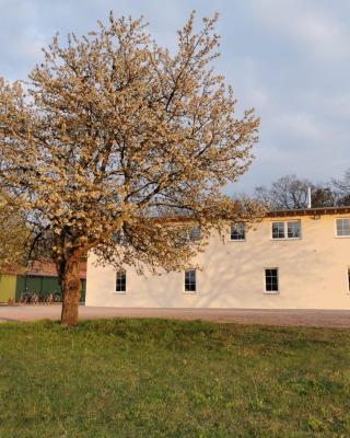 Ferienwohnung Gestüt von Erden