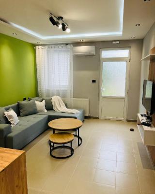 Apartman Novi Sad