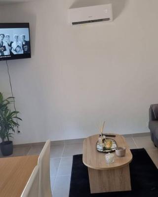 maison cosy avec cours