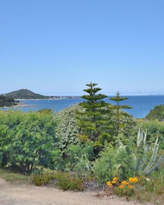 mare noi