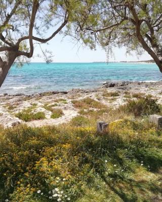 Punta Grossa - Porto Cesareo