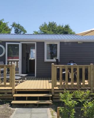 MOBILHEIM HERZ LAUWERSOOG - Chalet Robbengat