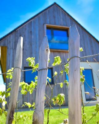 Hisa Vukan - Eco House in middle of vineyard with Sauna!