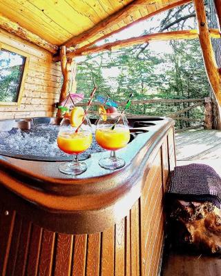 Domaine de la Font Vineuse & Spa