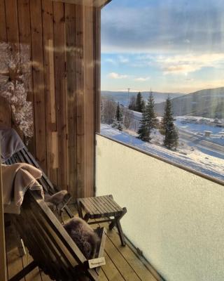 New and fresh apartement in Kvitfjell