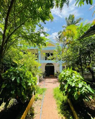 iha ayurveda resort