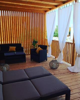 Mobile Home Drage