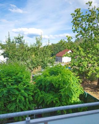 Burgblick-merzalben