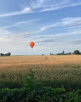 La Ferme 1851 - Cabane Spa Nordique privé vue sur champ