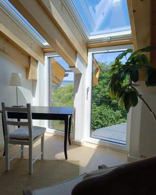 Apartment unterm Dach mit kleinem Seeblick