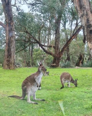 La cachette bushland hideaway