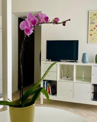 Milan Cozy Apartment Gambara - SanSiro