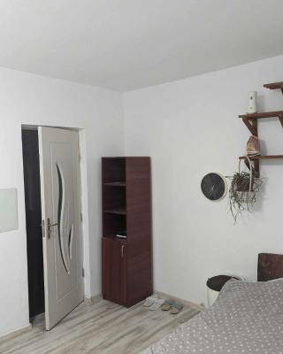 Garsoniera in apartament liber