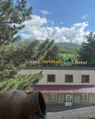 Sochiner Hotel