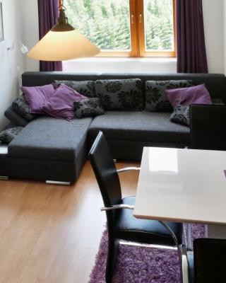 Apartmán U Sjezdovky