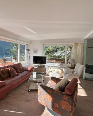 Zermatt Panoramic View Flat