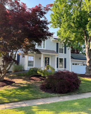 Upgraded, beautiful 4 BD Colonial in Silver Spring