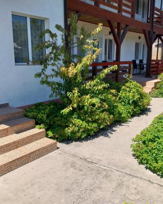 Casa Steaua de Mare