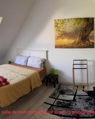 Chambre chez l'habitant "Les Roses de Séné"
