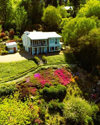 Hogsback Hidden Away