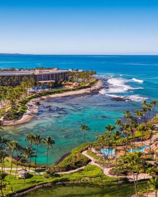 Hilton Waikoloa Village