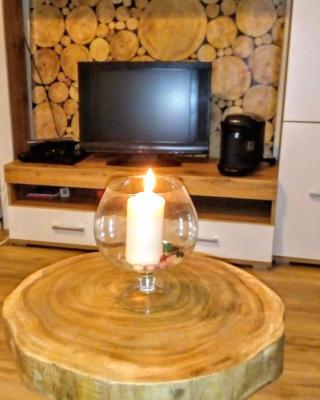 Apartman u Lipna, pro cyklisty, motorkare