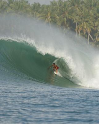 Lilys Nias Surf Camp