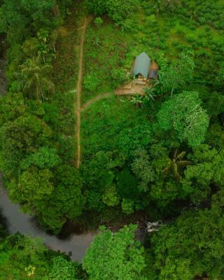 Rainforest cabin