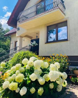 Dom Letni Kopalino