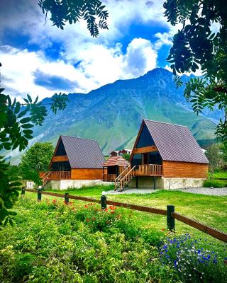 Hillside Kazbegi