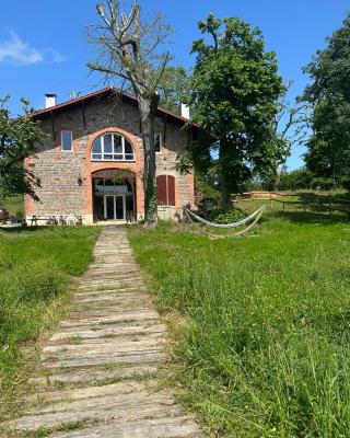 Relais DAIA